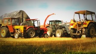Kiszonka 2015 ! VALTRA | PRONAR | 3x URSUS | POTTINGER ☺Głuchów Team