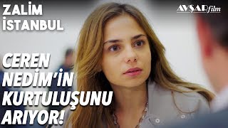 Ceren Ses Kaydının Peşinde? Gerçek Ortaya Çıkacak! - Zalim İstanbul 28. Bölüm