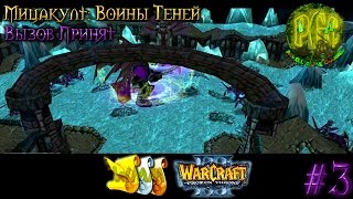 [WMM for PGC #4] Warcraft 3 Мицакулт: Воины Теней прохождение. Вызов принят [#3]
