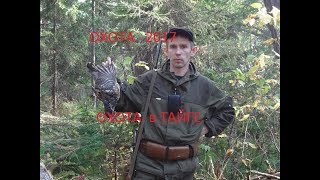 Охота 2017. Охота в тайге день первый.