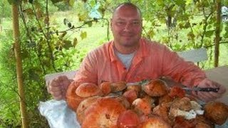 ОХОТА ЗА ПОДОСИНОВИКАМИ !!! HUNTING BEHIND ASPEN MUSHROOMS!!!