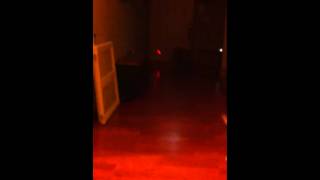 Dogs with freakin' LASERS (Special guest Mr. Bigglesworth)