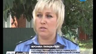 В Лабинске плодовое дерево поразил бактериальный ожог