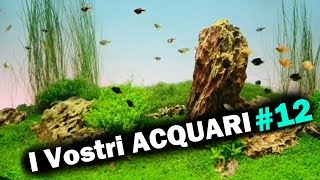 TOUR dei vostri ACQUARI - Ep. 12