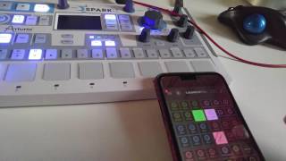 Launch Pad IOS & Arturia Spark LE Live Jam