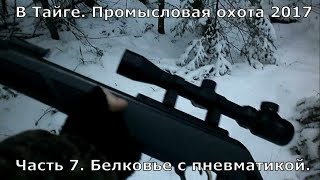 В Тайге. Промысел 2017. Часть 7. Белковье с пневматикой!