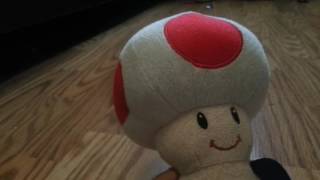 Toads crush on minnie mouse