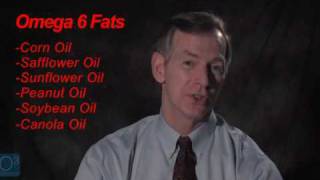 Russell Blaylock on Brain Repair pt3