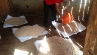 CAVALIER CAMA PARA ESTABLOS