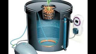 Гидропонная система DWC.