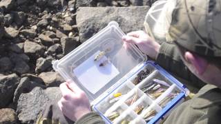Big Redfin Fishing