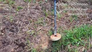 Реальное тестирование Minelab GPX , поиск чешуи