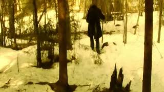 Punamütsike (Lühifilm)