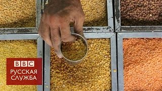 Секрет долголетия? Чечевица (и воздержание от секса)