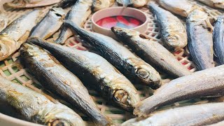 Впервые Вялю Рыбу/Салака Вяленая в Электросушилке/Рецепт/
