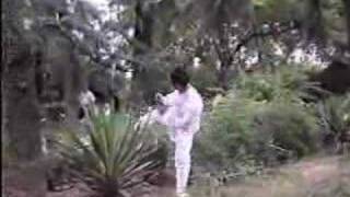 Chinese Kongfu--Wudang boxing