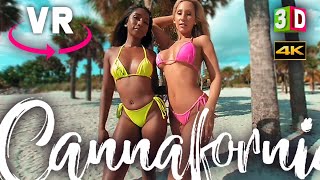 2 BIKINI GIRLS IN VR - CANNAFORNIA MODELS - VIRTUAL REALITY VIDEO 180/360