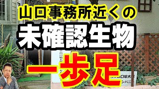 【一人語り】船橋の事務所近所に現れた未確認生物「一歩足」意思疎通のできるビッグフット　ATL5th352