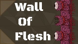 Terraria guide: The Wall of Flesh