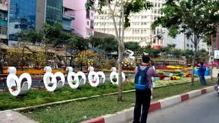 Đường hoa Hàm Nghi mồng 28 Tết Ất Mùi 2015