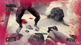 Huge lag!!  ( Killing floor 2 )