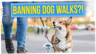 Chinese County Threatens Extreme Punishment for Dog Walking?? (ft. Tim Chantarangsu)