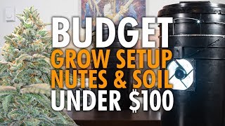 How to Grow Marijuana Indoors For Under $100