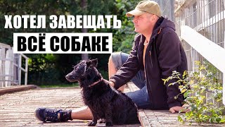 Хотел завещать всё собаке – не дали юристы! / Что делать если получил наследство? / Советы юриста