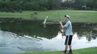 Senkos & Frogs -- Summer Bass Fishing