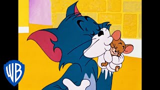 Tom y Jerry en Español | Podrían ser sólo amigos, ¿no?