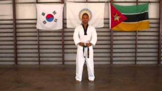 Taekwondo Poomsae 1 - 8