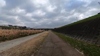 GoPro MAXの水平維持機能を試してみた