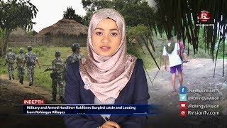 Rohingya Daily News 02 November 2017