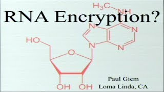 RNA Encryption? 7-21-2018 by Paul Giem