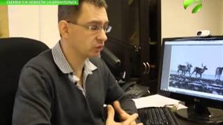 На мысе Желания впервые обнаружены олени