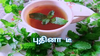 புதினா டீ / Pudhina tea in Tamil/ how to prepare mint tea