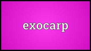 Exocarp Meaning