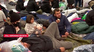В лесу на границе не осталось беженцев. Где разместили людей и как наладили их быт?