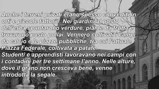 La Svizzera nella seconda guerra mondiale - 25 - Il Piano Wahlen