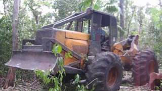 Holzbringung Mexiko, Yucatan