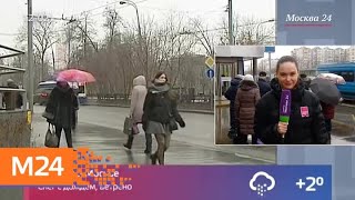 Циклон принес в столицу дождь с мокрым снегом - Москва 24