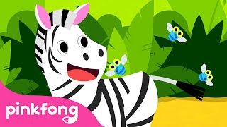 ¡Cebra Cadabra! | ???? Cebra | Canciones de Animales | Pinkfong Canciones Infantiles