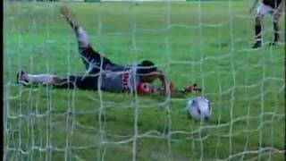 Flamengo PI x Palmeiras    Copa do brasil 2010