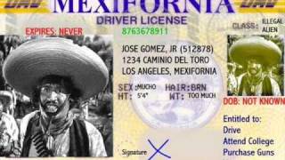 Michael Savage on illegal immigrant anchor babies
