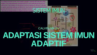 Bagaimana Antigen Menginisiasi Sistem Imun Adaptif
