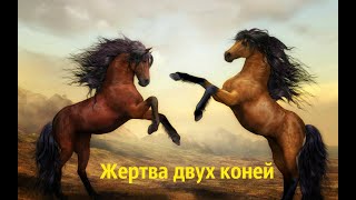 Шахматы жертва двух коней