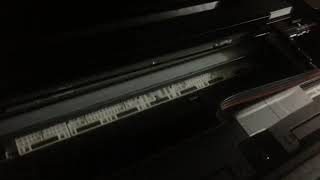 EPSON WF 7710 ERROR 031006 - Consulta