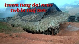 Tseem tuag dai ncuv twb lo tsaj tsev 31-1-202-