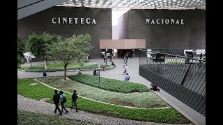 Why I Love Cineteca Nacional in Mexico City