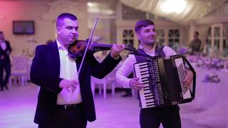 Музика на весілля  Чернівці